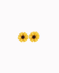 SOL | Puces Fancy Bijoux